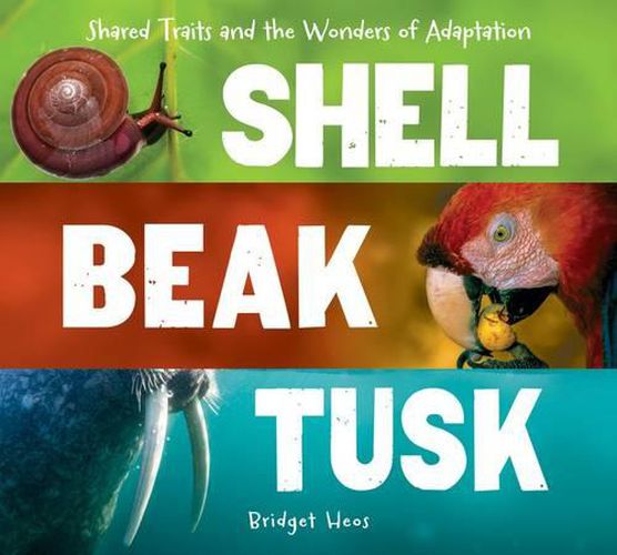 Shell, Beak, Tusk: Shared Traits and the Wonders of Adaptation