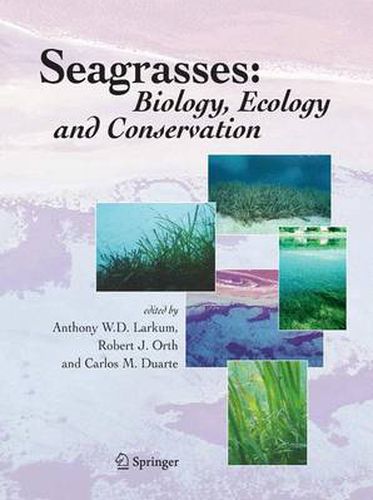 Seagrasses: Biology, Ecology and Conservation