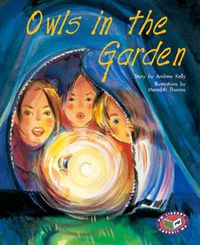 Cover image for Owls in the Garden