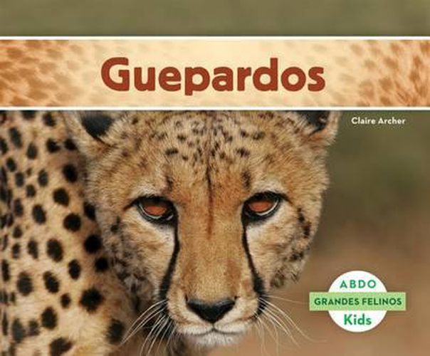 Cover image for Guepardos