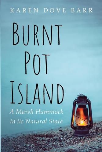 Cover image for Burnt Pot Island