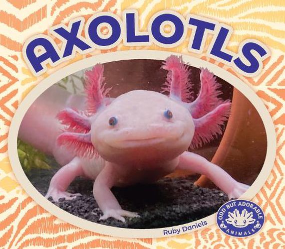 Cover image for Axolotls