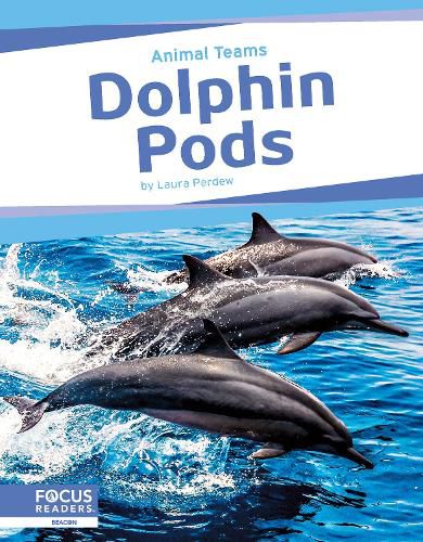 Cover image for Dolphin Pods