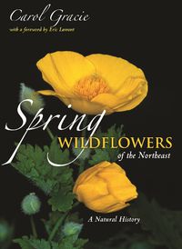 Cover image for Spring Wildflowers of the Northeast: A Natural History