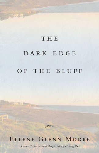 Cover image for The Dark Edge of the Bluff