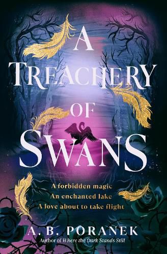 Cover image for A Treachery of Swans