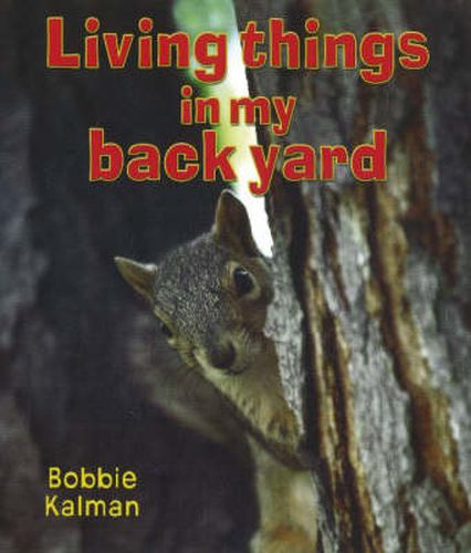 Cover image for Living Things in My Backyard