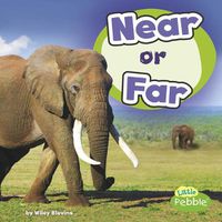 Cover image for Near or Far