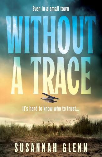 Cover image for Without a Trace