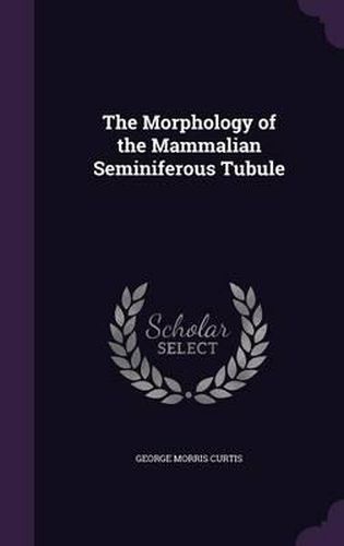 Cover image for The Morphology of the Mammalian Seminiferous Tubule