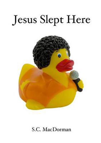 Cover image for Jesus Slept Here