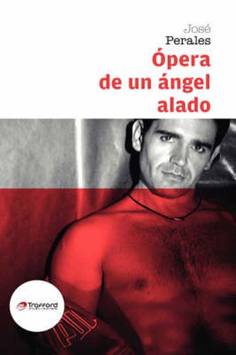 Cover image for Opera De Un Angel Alado