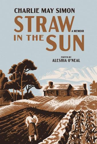 Cover image for Straw in the Sun