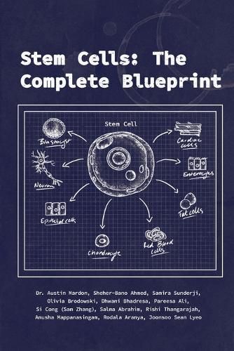 Stem Cells: The Complete Blueprint