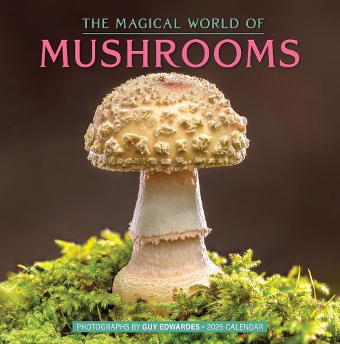 Cover image for The Magical World of Mushrooms Wall Calendar 2026