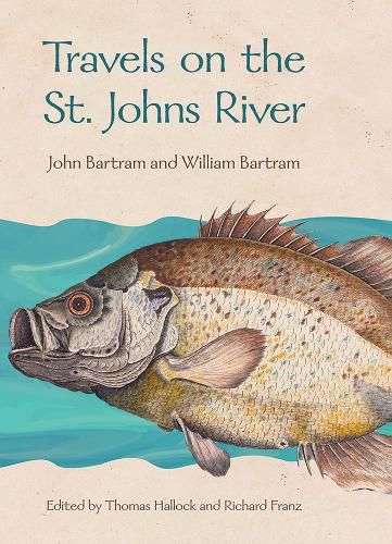 Cover image for Travels on the St. Johns River