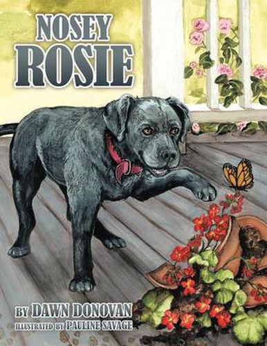 Cover image for Nosey Rosie