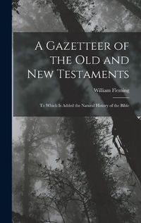 Cover image for A Gazetteer of the Old and New Testaments