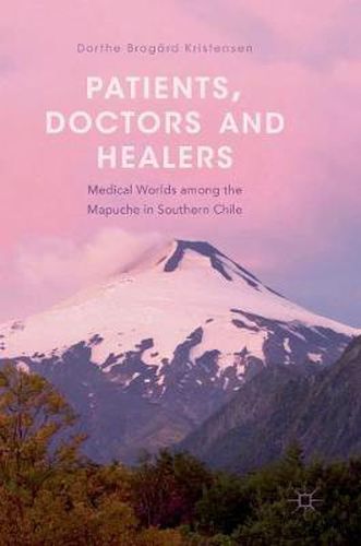 Cover image for Patients, Doctors and Healers: Medical Worlds among the Mapuche in Southern Chile