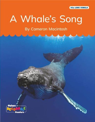Cover image for A Whale's Song (VCe Long Vowels)