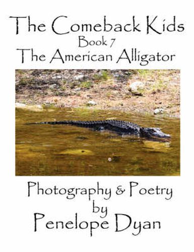 Cover image for The Comeback Kids, Book 7, The American Alligator