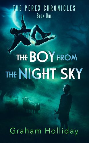 Cover image for The Boy from the Night Sky