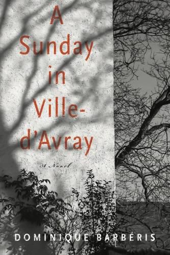 Cover image for A Sunday In Ville-d'avray: A Novel