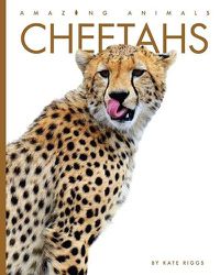 Cover image for Cheetahs