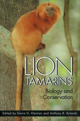 Cover image for Lion Tamarins: Biology and Conservation