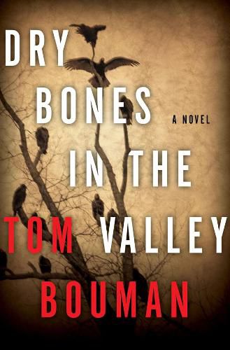 Dry Bones in the Valley: A Novel