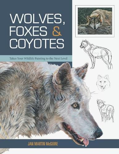 Cover image for Wolves, Foxes & Coyotes (Wildlife Painting Basics)