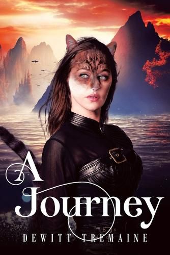 Cover image for A Journey