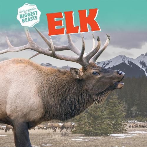 Elk