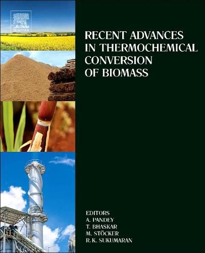 Cover image for Recent Advances in Thermochemical Conversion of Biomass