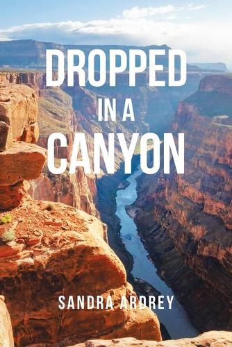 Cover image for Dropped in a Canyon