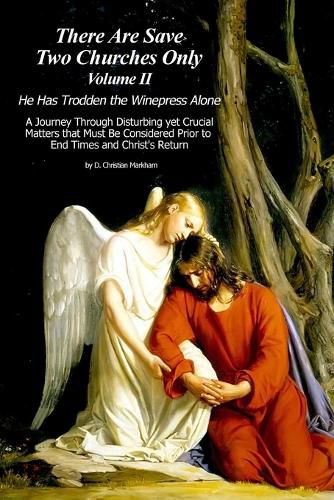 Cover image for There Are Save Two Churches Only, Volume II