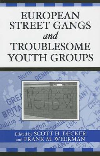 Cover image for European Street Gangs and Troublesome Youth Groups