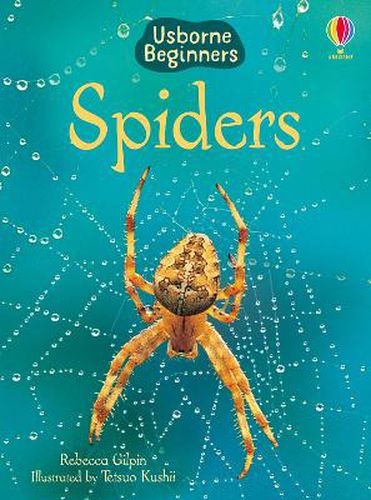 Cover image for Spiders