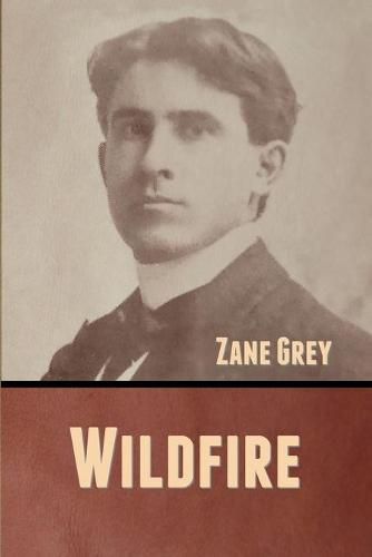 Cover image for Wildfire