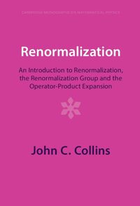 Cover image for Renormalization