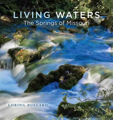 Cover image for Living Waters: The Springs of Missouri