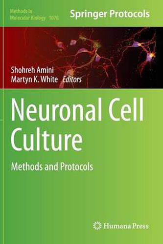 Cover image for Neuronal Cell Culture: Methods and Protocols