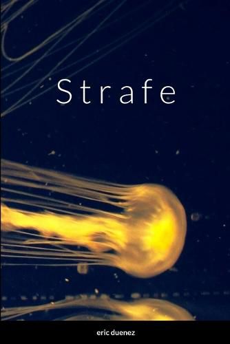 Cover image for Strafe
