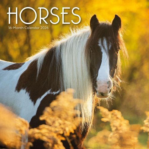 Cover image for 2026 Horses Wall Calendar