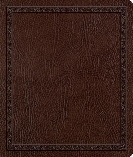 Cover image for ESV Journaling Bible