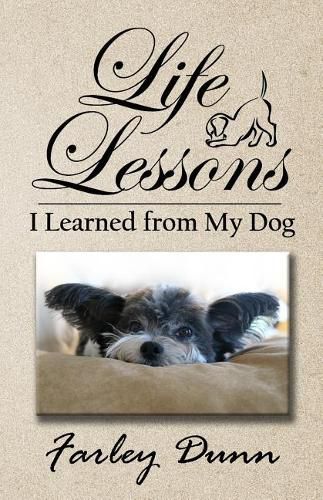 Cover image for Life Lessons I Learned from My Dog