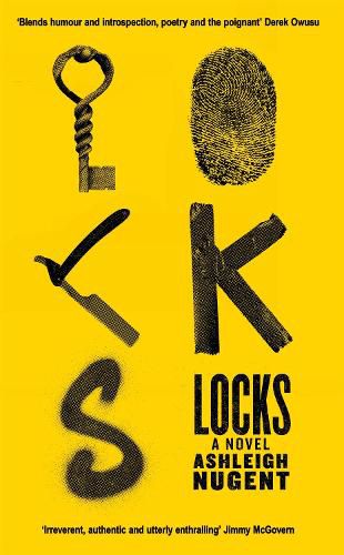 Cover image for Locks