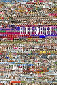 Cover image for Elder Skelter