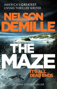 Cover image for The Maze