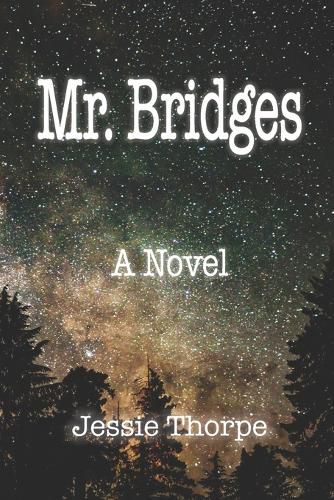 Cover image for Mr. Bridges